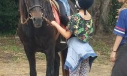 Sejour Ete   052